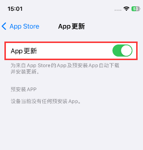 岳普湖苹果15维修中心如何让iPhone15APP自动更新